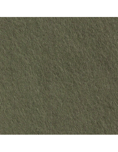 Feutrine de laine 30x45cm Olive