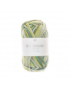Pelote Creative Ricorumi dk print vert mix