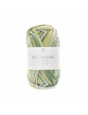 Pelote Creative Ricorumi dk print vert mix