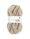 Pelote Rico socks superba bamboo 4 fils vert mix