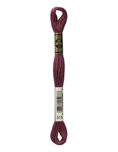 Fil à broder mouliné spécial 25 coloris 315