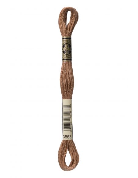 Fil à broder mouliné spécial 25 coloris 3863