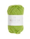 Pelote Creative Ricorumi Twinkly Twinkly dk vert