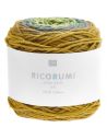 Pelote Creative Ricorumi Spin Spin dk olive