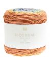 Pelote Creative Ricorumi Spin Spin dk earthy rainbow