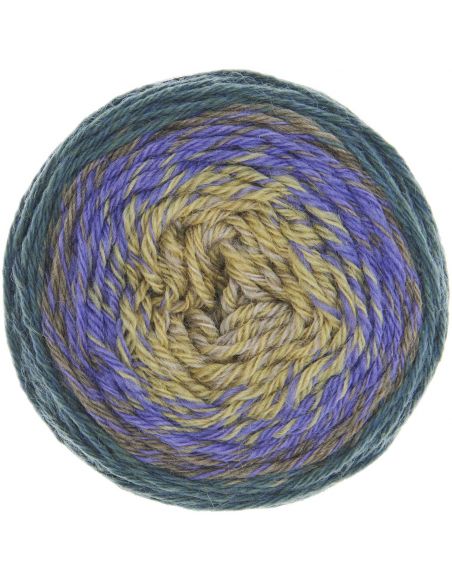 Pelote Rico socks super soft super dégradé 4 fils forest