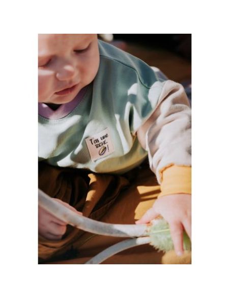 Etiquette à coudre T'as une tache pistache