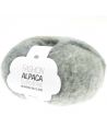 Pelote Fashion alpaca superfine heavens big cloud blue-aqua