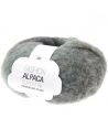 Pelote Fashion alpaca superfine heavens big cloud vibrant
