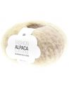 Pelote Fashion alpaca superfine heavens big cloud pastel shades
