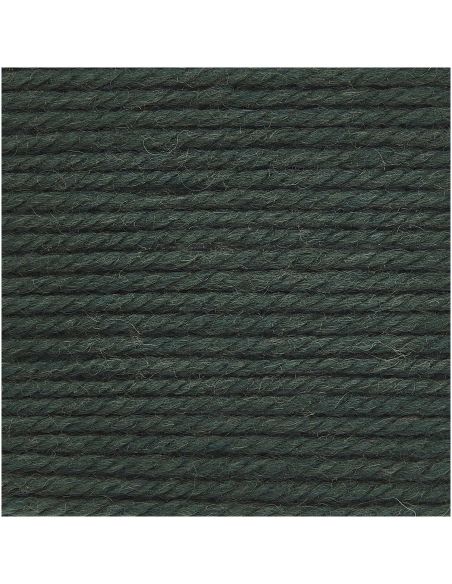 Pelote Essentials soft merino aran english green