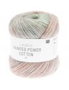 Pelote Creative painted power cotton dk earthy rainbow