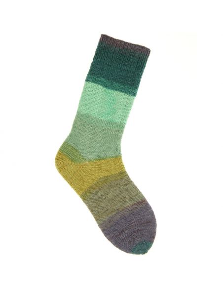 Pelote Rico socks superba cashmeri luxury 4 fils vert de la forêt
