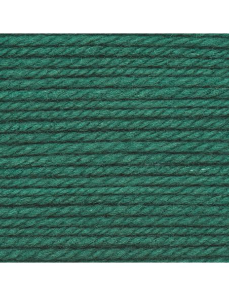 Pelote Essentials soft merino aran vert foncé