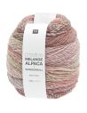 Pelote Creative melange alpaca wonderball dk spring