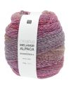 Pelote Creative melange alpaca wonderball dk berries