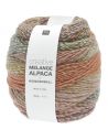 Pelote Creative melange alpaca wonderball dk summer