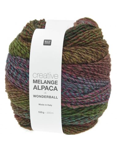 Pelote Creative melange alpaca wonderball dk automne