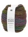Pelote Creative melange alpaca wonderball dk automne