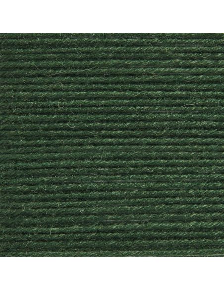 Pelote Rico sockenwolle premium 4 fils loden