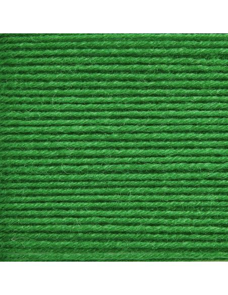 Pelote Rico sockenwolle premium 4 fils vert