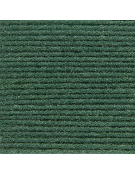 Pelote Rico sockenwolle premium 6 fils loden