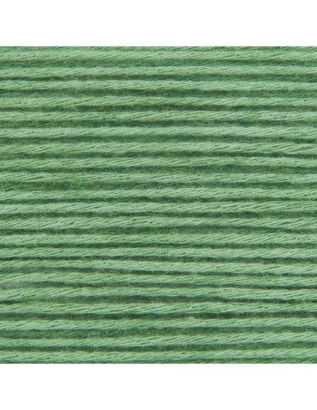 Pelote Creative cotton fleece dk lierre