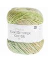 Pelote Creative painted power cotton dk summer fruits