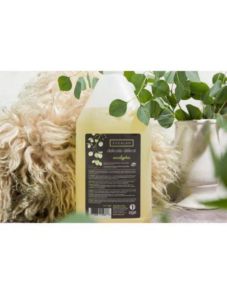 Lessive sans rinçage eucalyptus 4L