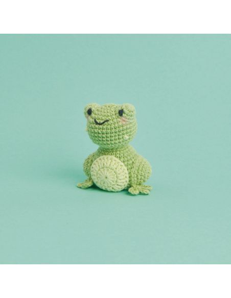 Kit de crochet Mini-easy Grenouille