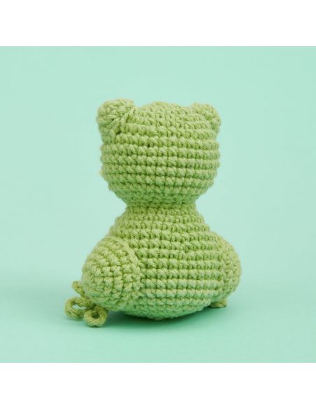 Kit de crochet Mini-easy Grenouille