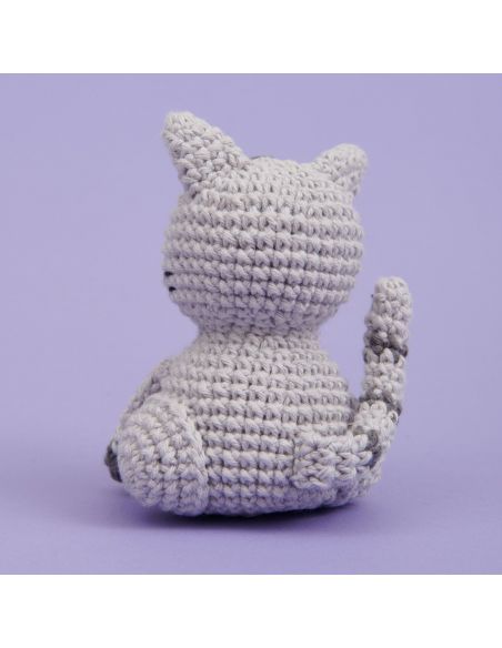 Kit de crochet Mini-easy Chat