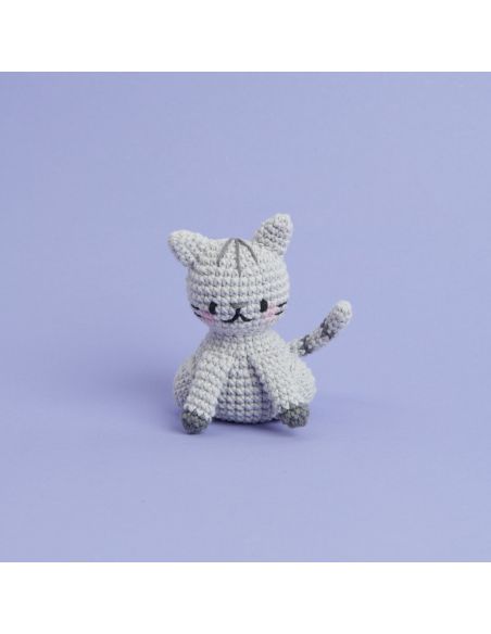 Kit de crochet Mini-easy Chat