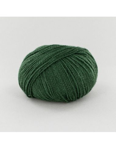 Pelote Fonty Alpaga col 445 poireau