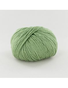 Pelote Fonty Alpaga col 452 asperge