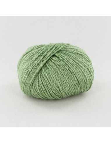Pelote Fonty Alpaga col 452 asperge