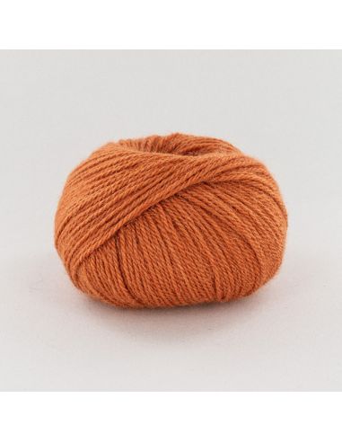Pelote Fonty Alpaga col 409 orange