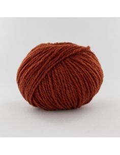 Pelote Fonty 1880 col 0105 citrouille