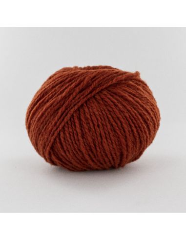 Pelote Fonty 1880 col 0105 citrouille