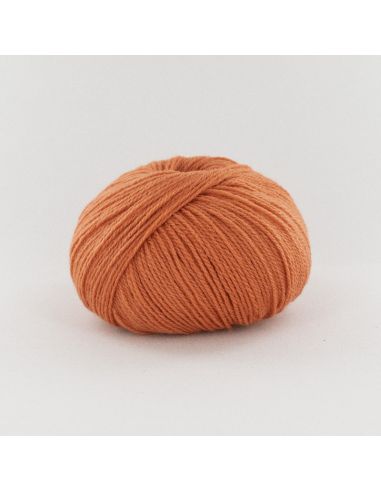 Pelote Fonty BB Merinos col 909 melon