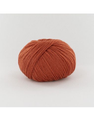 Pelote Fonty BB Merinos col 834 corail