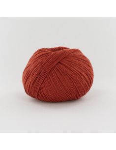 Pelote Fonty BB Merinos col 833 brique