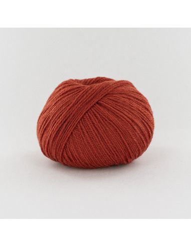 Pelote Fonty BB Merinos col 833 brique