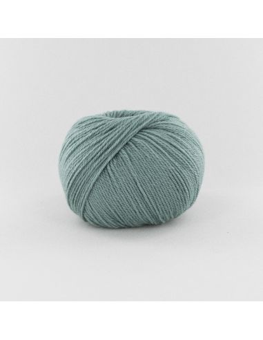 Pelote Fonty BB Merinos col 897 céladon