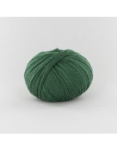 Pelote Fonty BB Merinos col 949 fougère