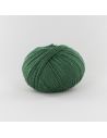 Pelote Fonty BB Merinos col 949 fougère
