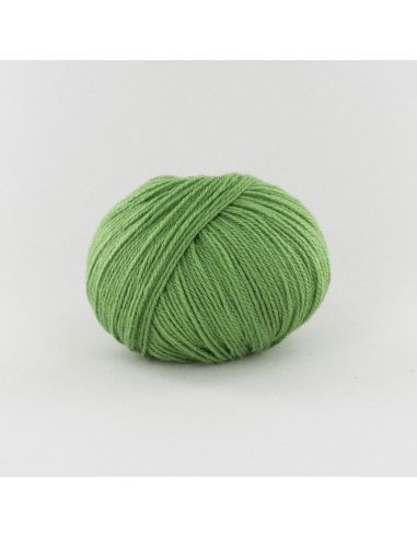 Pelote Fonty BB Merinos col 950 citron vert