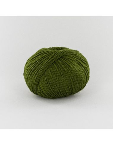 Pelote Fonty BB Merinos col 955 vert mousse