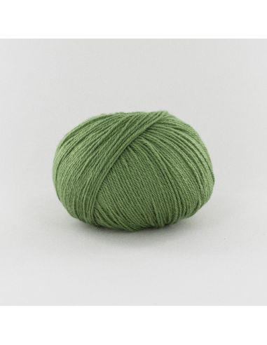 Pelote Fonty BB Merinos col 957 vert amande