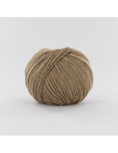 Pelote Fonty Camel gobi 2 col 21